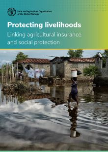 Protecting livelihoods – Linking agricultural insurance and social protection